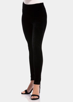 Vlegging