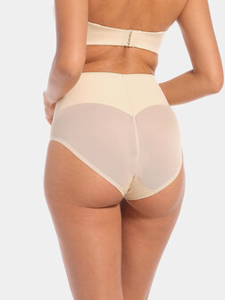 Sheer &amp; Sexy Brief