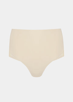 Sheer &amp; Sexy Brief