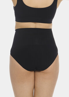 Shimmer Brief