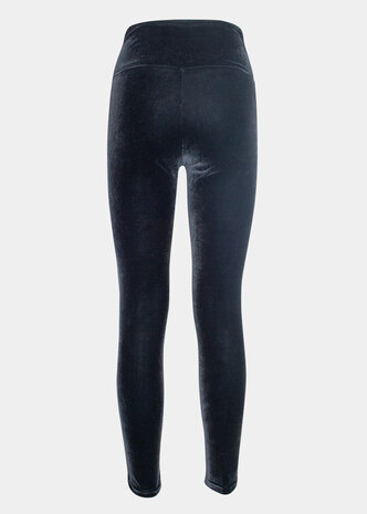 Vlegging