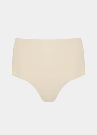 Sheer & Sexy Brief