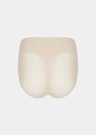 Sheer & Sexy Brief
