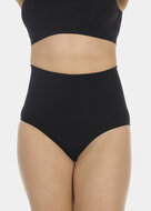 Shimmer Brief